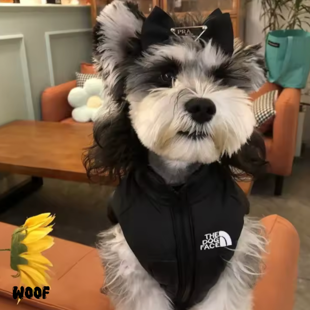 The Dog Face Puffer Vest