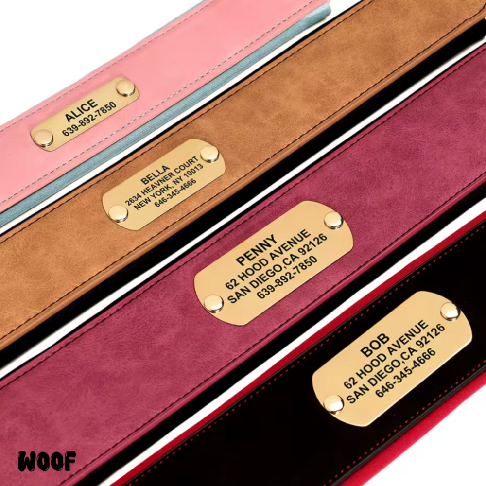 WOOF Classic Leather Collar