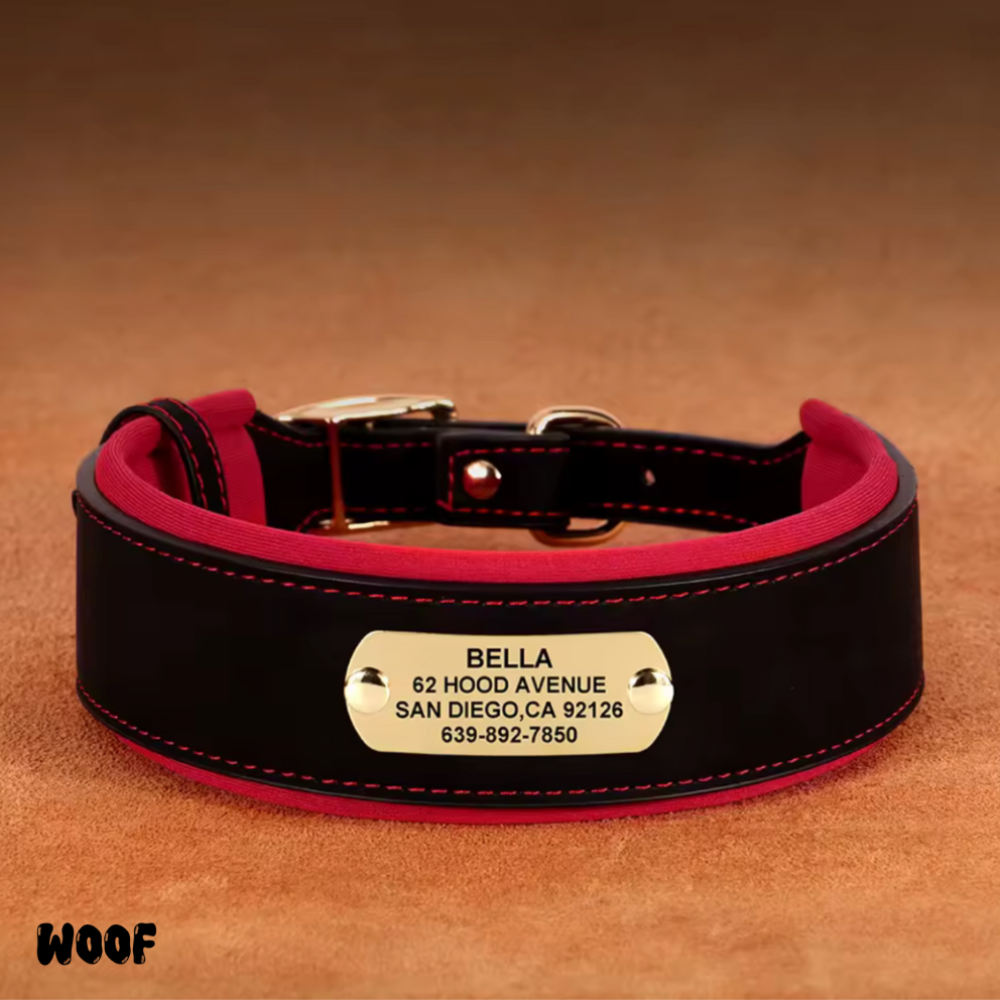 WOOF Classic Leather Collar
