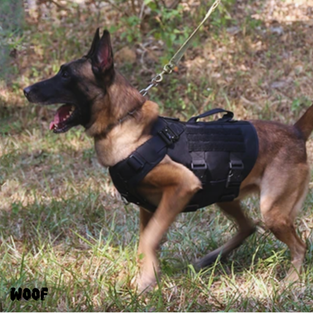 WOOF Tactical Harnesses Set